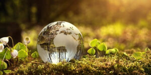 su dağıtım büyükçekmece